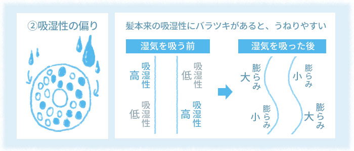 「くせ毛シャンプー」くせ毛の原因のひとつは「吸水性の偏り」