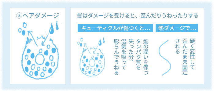 「くせ毛シャンプー」くせ毛の原因のひとつ「髪のダメージ」は予防できる