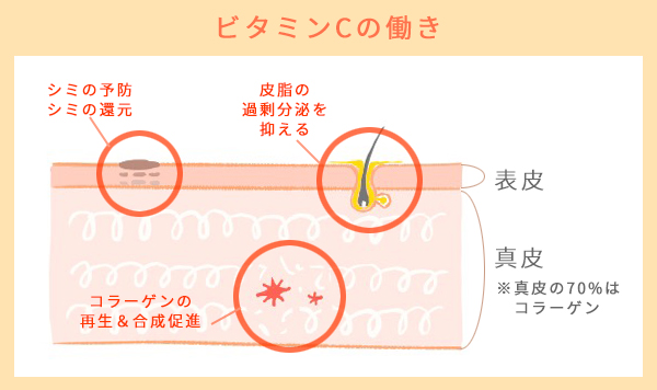 ビタミンCのマルチな効果を解説。１．コラーゲンをつくる・再生する２．シミ予防・シミ還元３．皮脂の過剰分泌を抑える