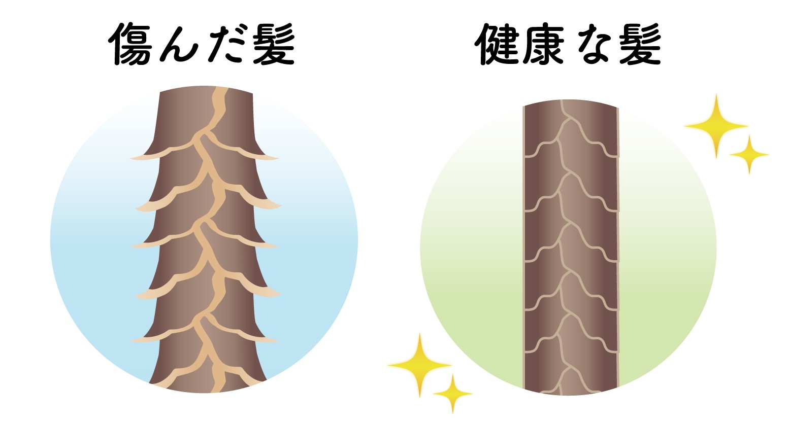40代の髪のキューティクル