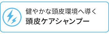 健やかな頭皮環境へ導く！頭皮ケアシャンプー