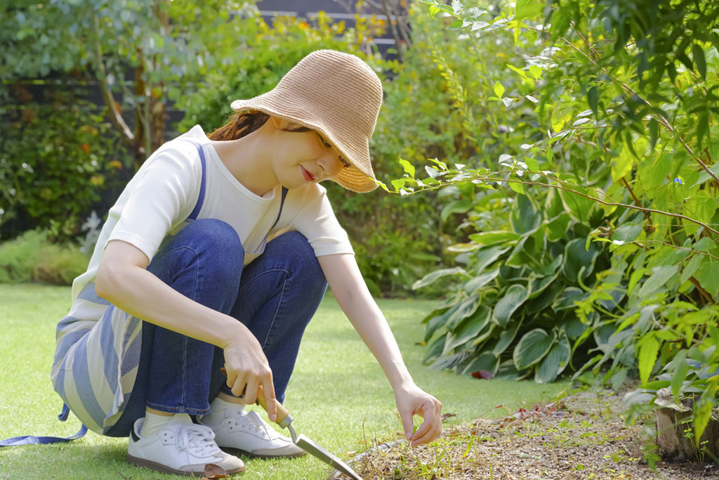 ���̖т����O�������邨�����ߑ΍�3�I